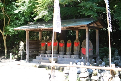 コケ好きにはタマラナイ!鎌倉最古のお寺【杉本寺】で苔写真を楽しむ1.jpg