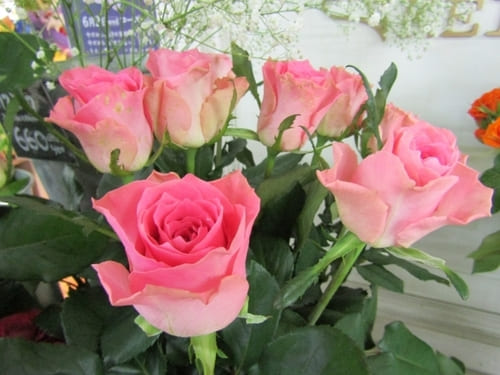 東村山市のおしゃれな花屋11選!便利な駅前店やアレンジ花束が人気な店も!