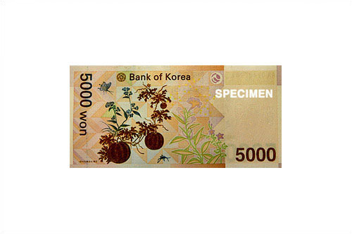 韓国紙幣のお話~5万ウォン札~
