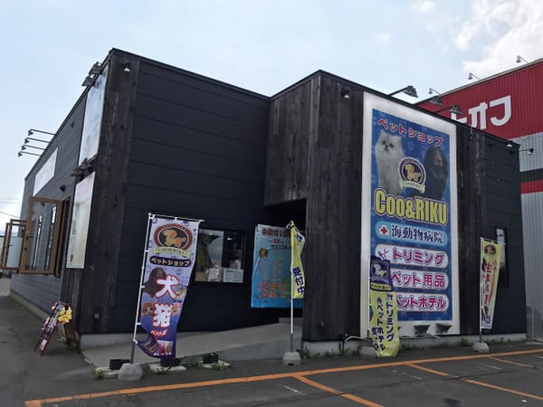 釧路市のペットショップ6選!サロン・ペットホテル併設の大型店も!