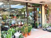 苫小牧市のおしゃれな花屋13選!便利な駅前店やアレンジ花束が人気な店も!