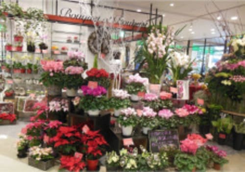 戸田市のおしゃれな花屋11選!便利な駅前店やアレンジ花束が人気な店も!
