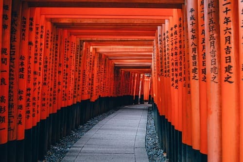 八王子市の御朱印が素敵な神社・お寺17選!巡れるエリア別マップ令和版も!