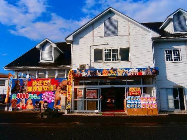 鳥取市のペットショップ6選!サロンやペットホテル併設の大型店も!