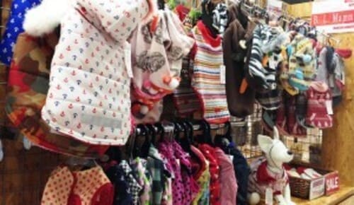 弘前市の人気ペットショップ10選!ペットサロンやホテル併設の大型店も!