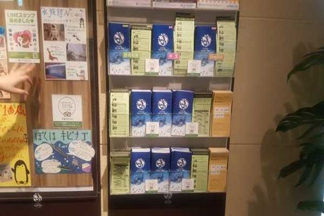 サンシャイン水族館の魅力を徹底解剖! 料金・割引・混雑情報!来館前に知りたい情報解説