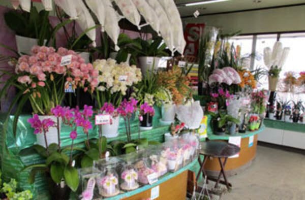 上尾のおしゃれな花屋11選!便利な駅前店やギフトアレンジが人気な店も!