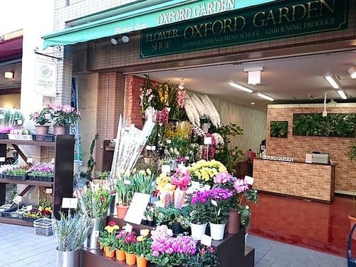 茨木市のおしゃれな花屋10選!便利な駅前店やアレンジが人気な店も!
