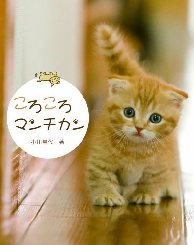 結局のところ1番好きな猫の種類ランキング
