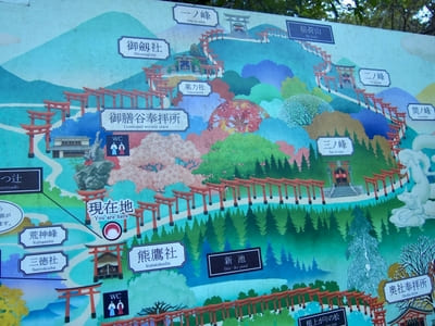 【京都】伏見稲荷大社の参拝時に!神秘的な稲荷山をハイキング1.jpg