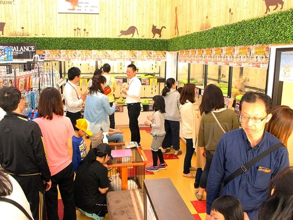 鳥取市のペットショップ6選!サロンやペットホテル併設の大型店も!