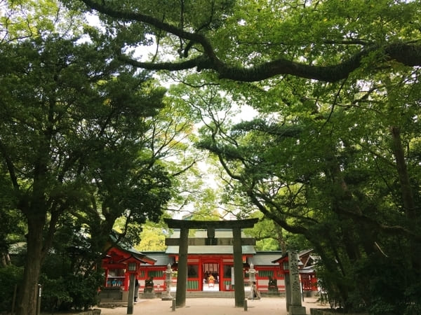仙台市|御朱印が素敵な神社・お寺27選!エリア別に巡れるマップ令和版も!