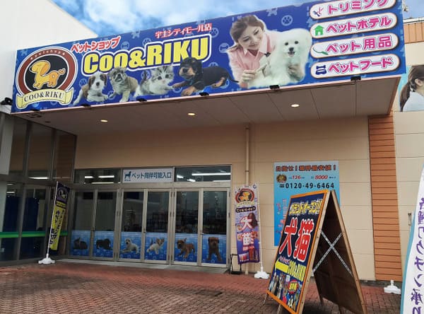 熊本県の大型ペットショップ20選!サロンやペットホテル併設の大型店も!