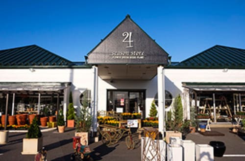 八戸市のおしゃれな花屋25選!便利な駅前店やアレンジ花束が人気な店も!