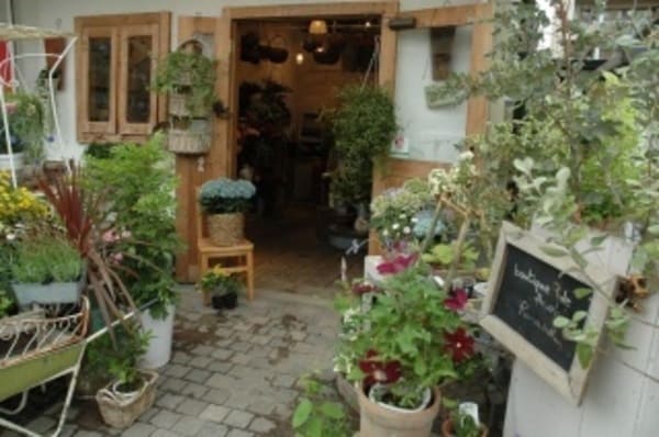 宝塚市のおすすめ花屋16選!おしゃれな駅前店やギフトアレンジが人気な店も!