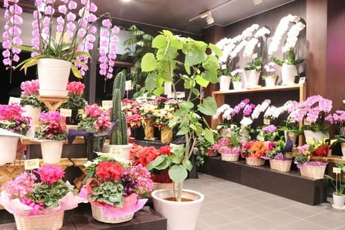 市原市のおしゃれな花屋11選!便利な駅前店やアレンジ花束が人気な店も!