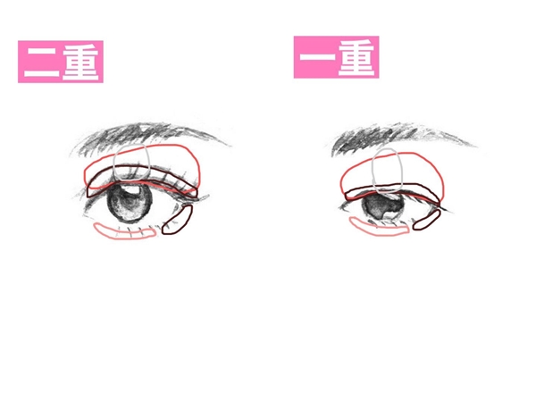 目を大きくする方法
