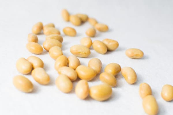 管理栄養士が伝授! 乳がん予防やPMS・生理痛の改善に役立つ食品【管理栄養士監修】