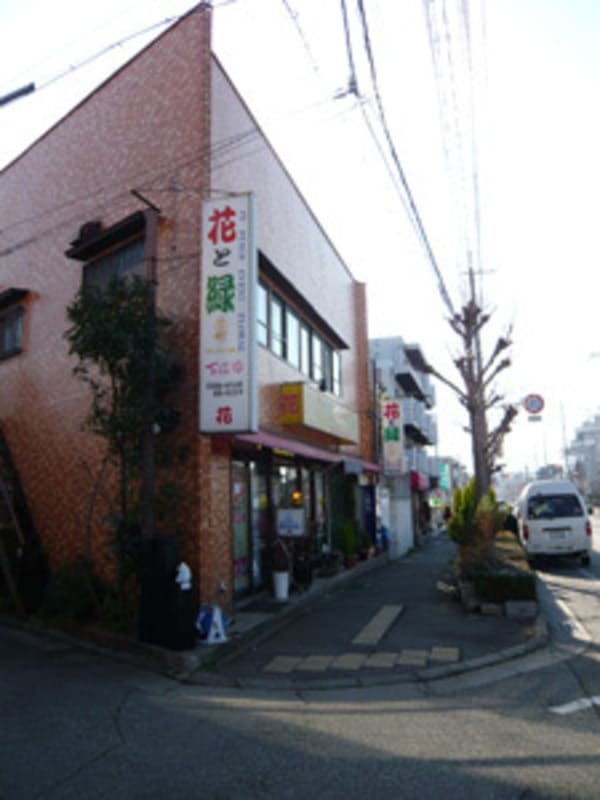 宝塚市のおすすめ花屋16選!おしゃれな駅前店やギフトアレンジが人気な店も!