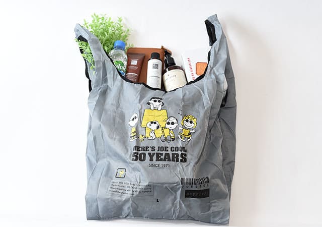 宝島さん…コレはズルいよ!もう持ってるのに付録買い決定♡可愛い×便利なスヌーピーエコバッグ