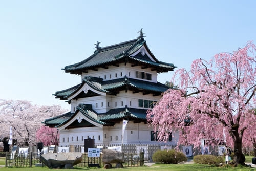 弘前市のおしゃれな花屋10選!便利な駅前店やアレンジ花束が人気な店も!