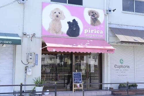 八尾市の人気ペットショップ10選!ペットサロンやホテル併設の大型店も!