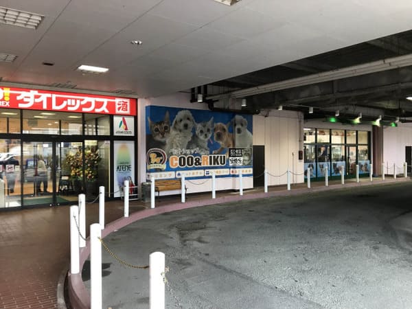 熊本県の大型ペットショップ20選!サロンやペットホテル併設の大型店も!