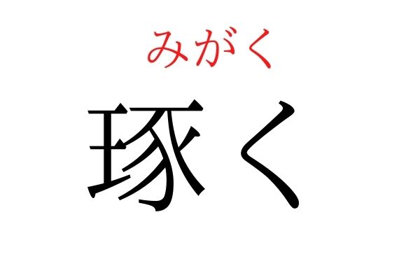 【読めたらすごい】「琢く」何て読む?