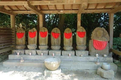 コケ好きにはタマラナイ!鎌倉最古のお寺【杉本寺】で苔写真を楽しむ1.jpg