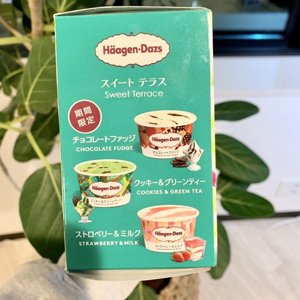 ハーゲンダッツ,アソートボックス,スイートテラス