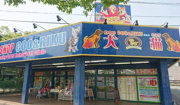 熊本県の大型ペットショップ20選!サロンやペットホテル併設の大型店も!