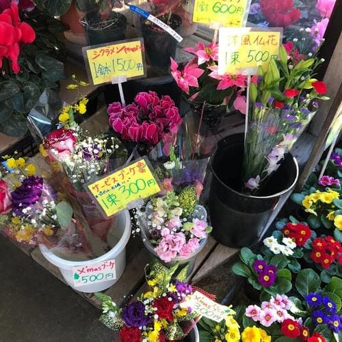 東村山市のおしゃれな花屋11選!便利な駅前店やアレンジ花束が人気な店も!