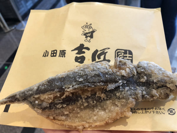 小田原市の人気テイクアウト13選!おすすめランチやお弁当・お惣菜も!