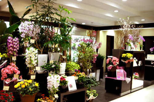 奈良市のおすすめ花屋20選!おしゃれな駅前店やギフトアレンジが人気な店も!