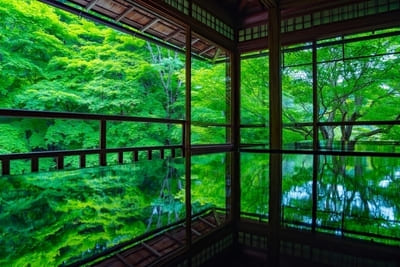 【2021】6月の国内おすすめ旅行先12選!梅雨でも楽しめる観光地特集1.jpg