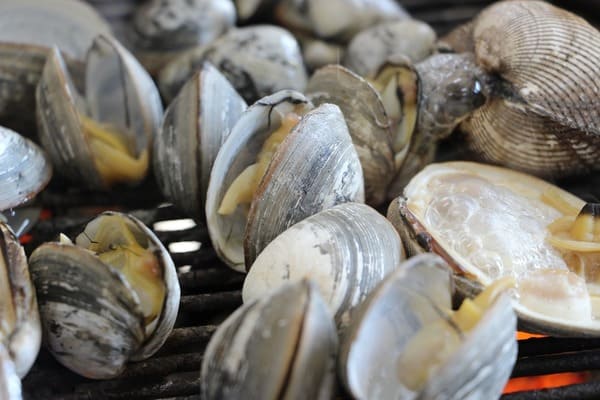 苫小牧で人気の朝食・モーニング13選!新鮮な海鮮やご当地グルメも!