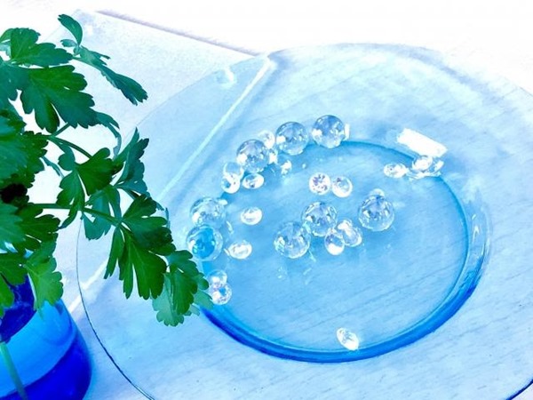 虫除け効果のある植物