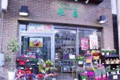 長崎市のおしゃれな花屋25選!便利な駅前店やアレンジ花束が人気な店も!