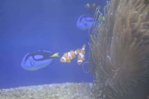 キュートな動物と触れ合える!ほっこり癒やされるスポット