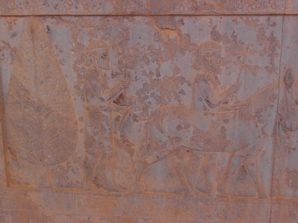 【イラン】古代オリエント人のレリーフは必見!ペルシア帝国時代の遺跡「ペルセポリス」