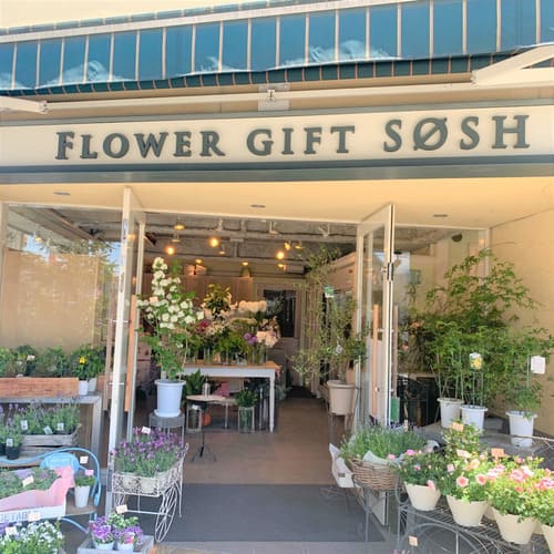 豊中市のおしゃれな花屋25選!便利な駅前店やアレンジ花束が人気な店も!