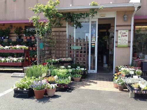 松江市のおしゃれな花屋25選!便利な駅前店やアレンジ花束が人気な店も!