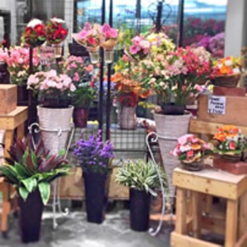 草加市のおしゃれな花屋13選!便利な駅前店やアレンジ花束が人気な店も!