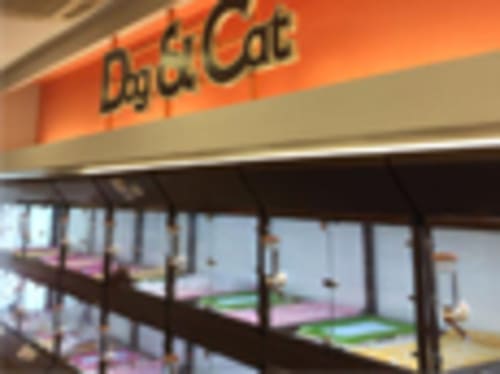 箕面市の人気ペットショップ10選!ペットサロンやホテル併設の大型店も!