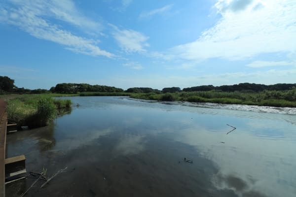 展示も公園も満足度高!【ミュージアムパーク茨城県自然博物館】