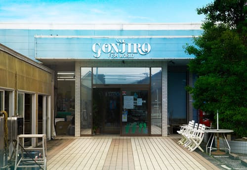 木更津エリアの人気ペットショップ10選!ペットサロンやホテル併設の大型店も!