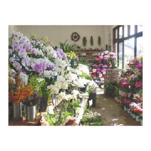 豊田市のおしゃれな花屋13選!便利な駅前店やアレンジ花束が人気な店も!