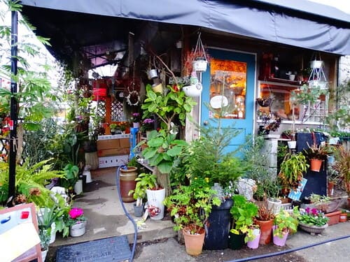 多治見市のおしゃれな花屋10選!便利な駅前店やアレンジ花束が人気な店も!