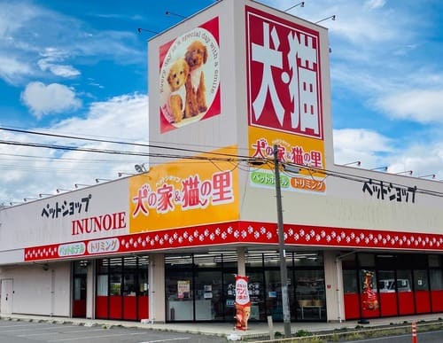 塩尻市の人気ペットショップ10選!ペットサロンやホテル併設の大型店も!