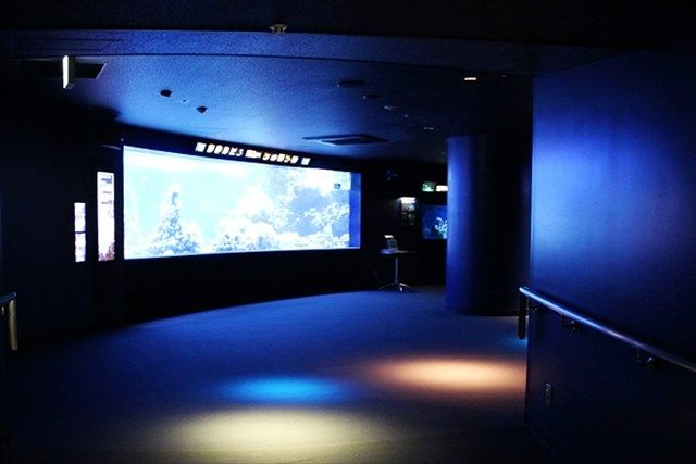 サンシャイン水族館の魅力を徹底解剖! 料金・割引・混雑情報!来館前に知りたい情報解説
